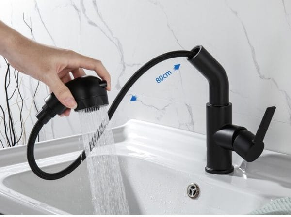 Black Hair Washing Faucet with Pull Out and Dual Spray Mode