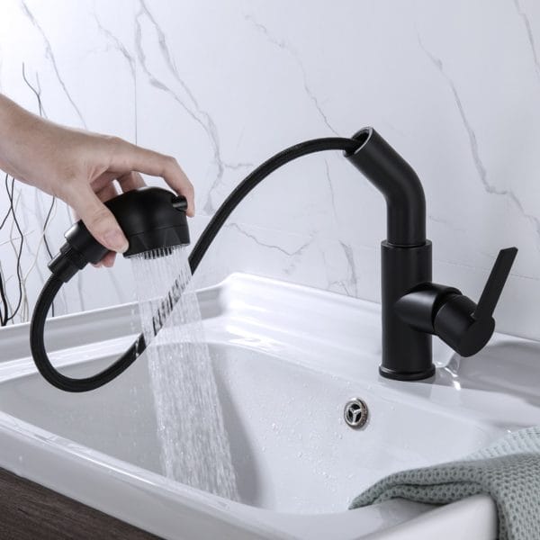 Black Hair Washing Faucet with Pull Out and Dual Spray Mode