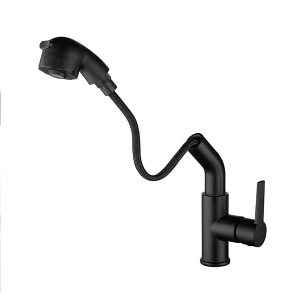 Black Hair Washing Faucet with Pull Out and Dual Spray Mode